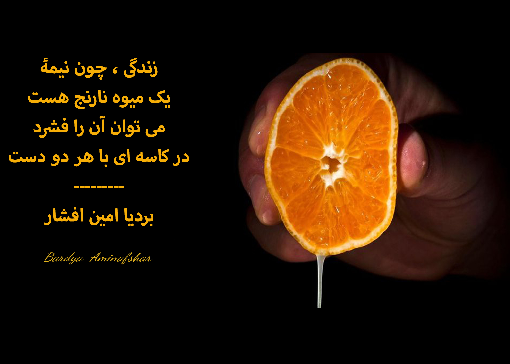 <strong>نارنج</strong> :